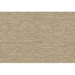 Leopard Walk Jomon 15308