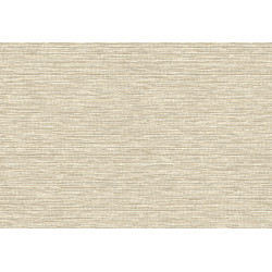 Leopard Walk Jomon 15309