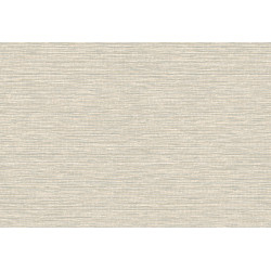 Leopard Walk Jomon 15311