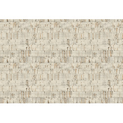 Leopard Walk Suber 15328