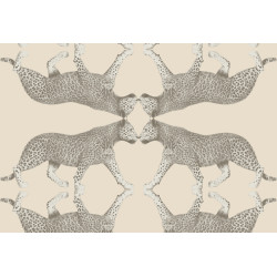 Leopard Walk Sabor 15329