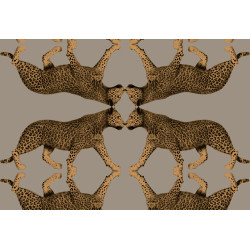 Leopard Walk Sabor 15330