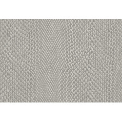 Leopard Walk Naja 15333