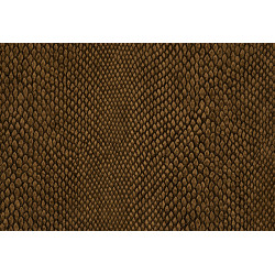 Leopard Walk Naja 15334