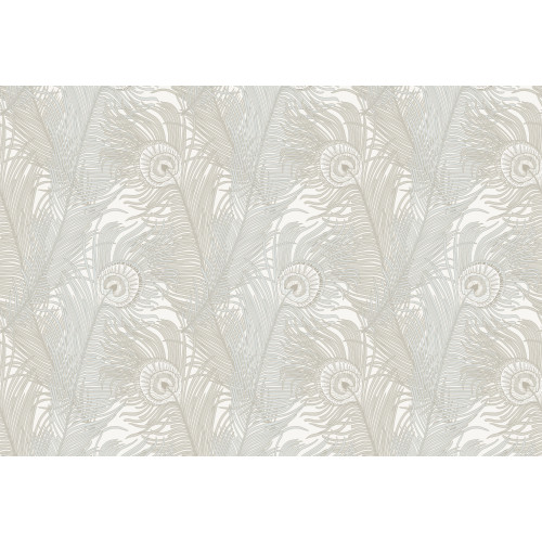 Leopard Walk Descartes 15341