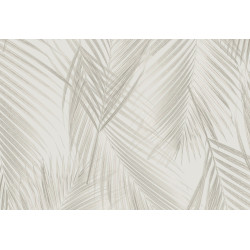 New Wave Felce Simposium 24804