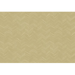 New Wave Chevron Simposium 24817