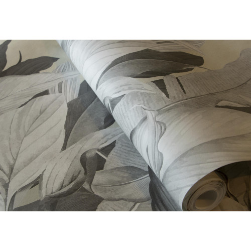 Caribbean Panoramique Tropical Forest 27200