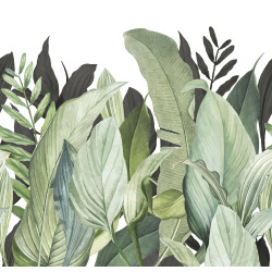 Caribbean Panoramique Tropical Forest 27201