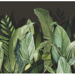 Caribbean Panoramique Tropical Forest 27202