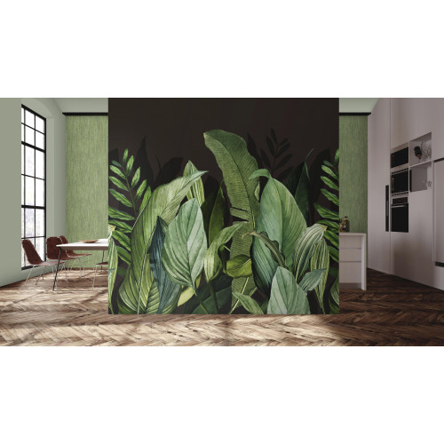 Caribbean Panoramique Tropical Forest 27202