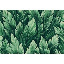 Caribbean Samoa 27205