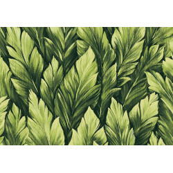 Caribbean Samoa 27206