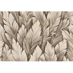 Caribbean Samoa 27207