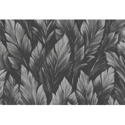 Caribbean Samoa 27208