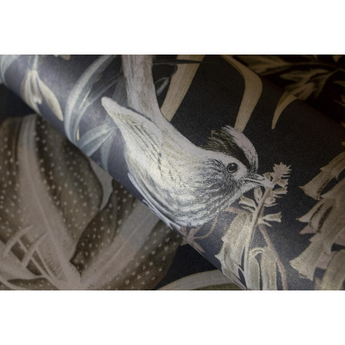 Caribbean Moorea 27214