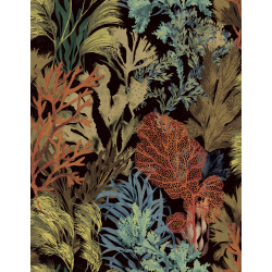 Caribbean Bora Bora 27220