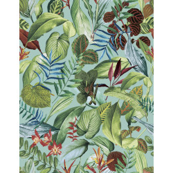 Caribbean Kiribati 27223