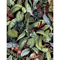 Caribbean Kiribati 27224