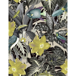 Caribbean Palau 27227