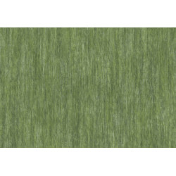 Caribbean Tuvalu 27241