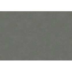 Caribbean Plain 27250