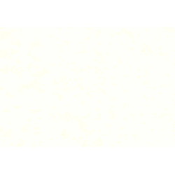 Caribbean Plain 27251