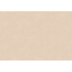 Caribbean Plain 27252