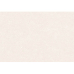 Caribbean Plain 27254