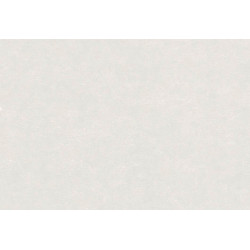 Caribbean Plain 27255