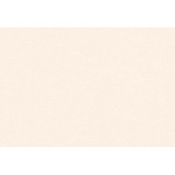 Caribbean Plain 27256