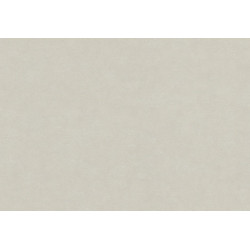 Caribbean Plain 27257