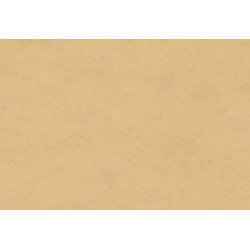 Caribbean Plain 27259