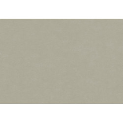 Caribbean Plain 27261