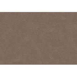 Caribbean Plain 27262