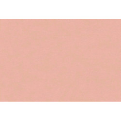 Caribbean Plain 27264