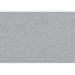 Caribbean Plain 27265