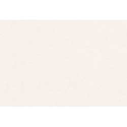 Caribbean Plain 27267