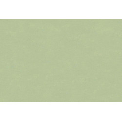 Caribbean Plain 27268