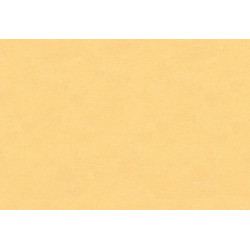 Caribbean Plain 27269