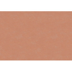 Caribbean Plain 27270