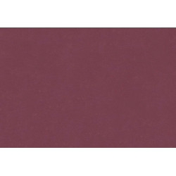 Caribbean Plain 27271