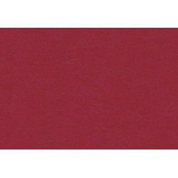 Caribbean Plain 27272