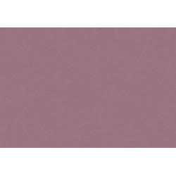 Caribbean Plain 27273