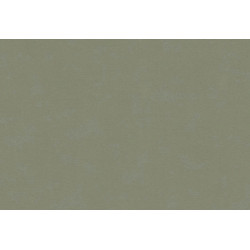 Caribbean Plain 27274