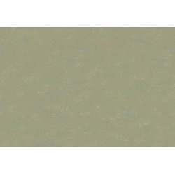 Caribbean Plain 27275