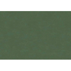 Caribbean Plain 27276