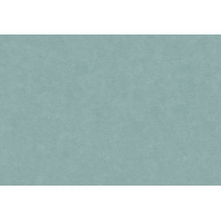 Caribbean Plain 27277