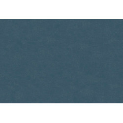 Caribbean Plain 27278