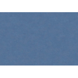 Caribbean Plain 27279